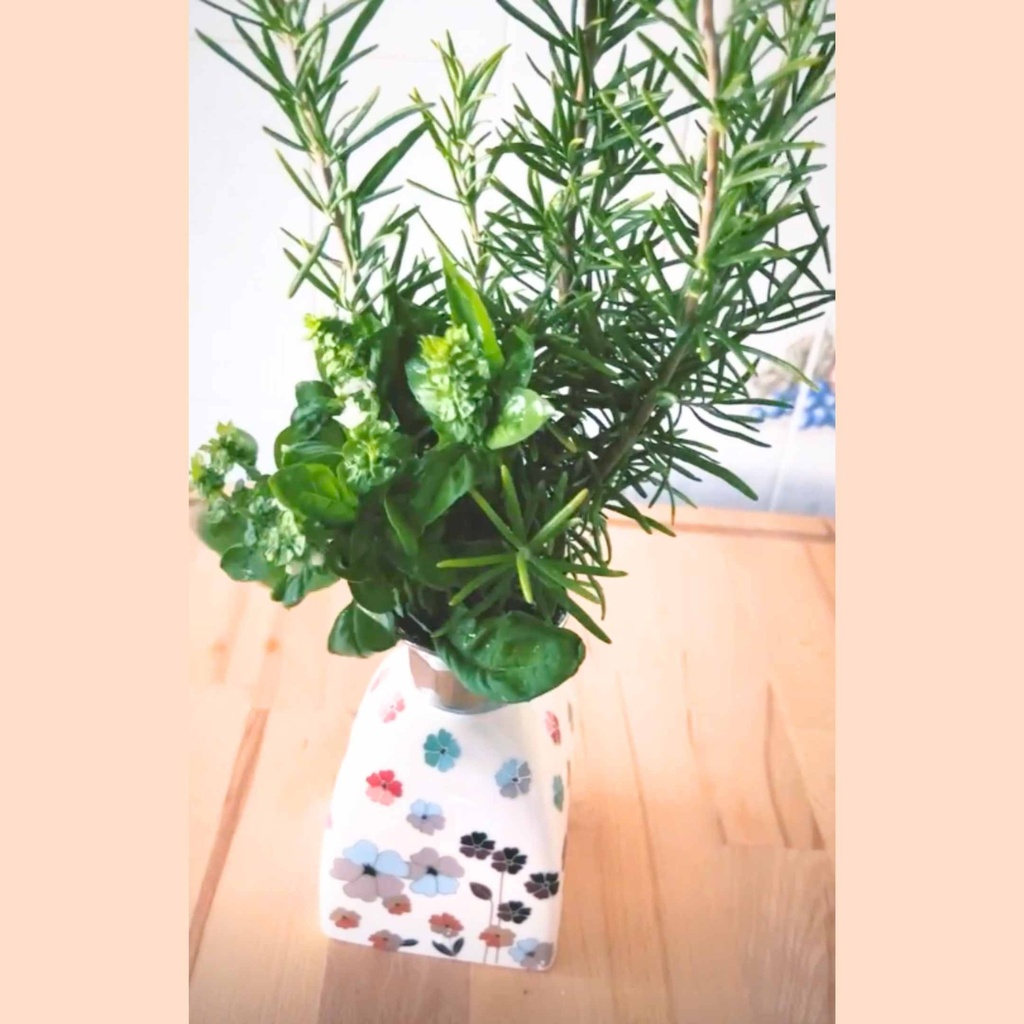 PROFUMATORE O VASO PORTAFIORI PICCOLO LINEA LIBERTA'