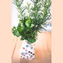 PROFUMATORE O VASO PORTAFIORI PICCOLO LINEA LIBERTA'