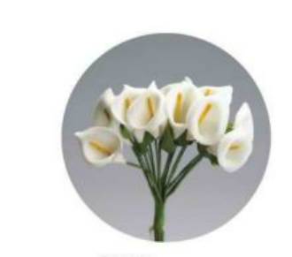 [D23121]  Fiore Calletta Poly misura Media