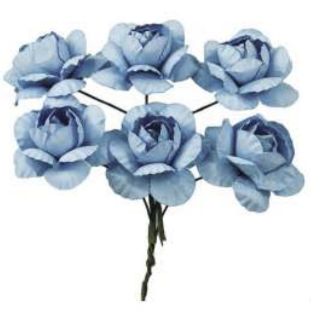 [CARCK6235/C] CARCK6235/C