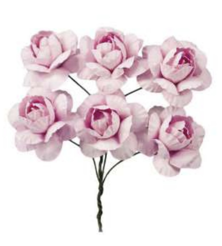 [CARCK6235/R] CARCK6235/R