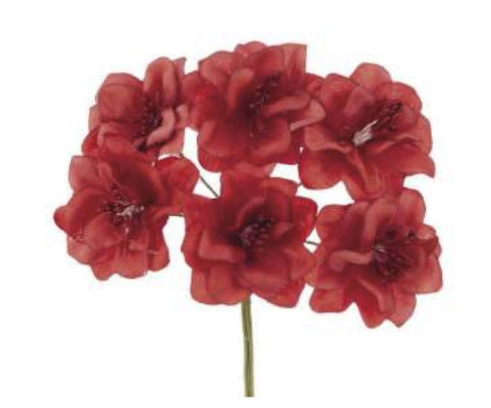 Fiori Rossi con pistillo 