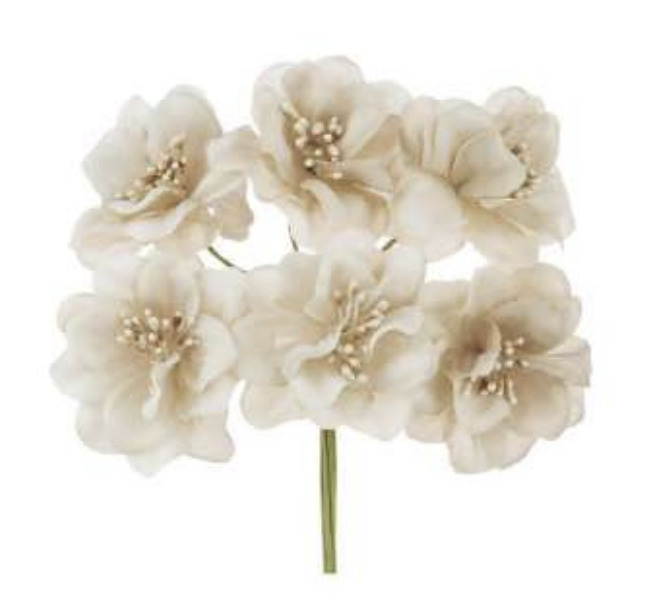 Fiori Beige con Pistillo