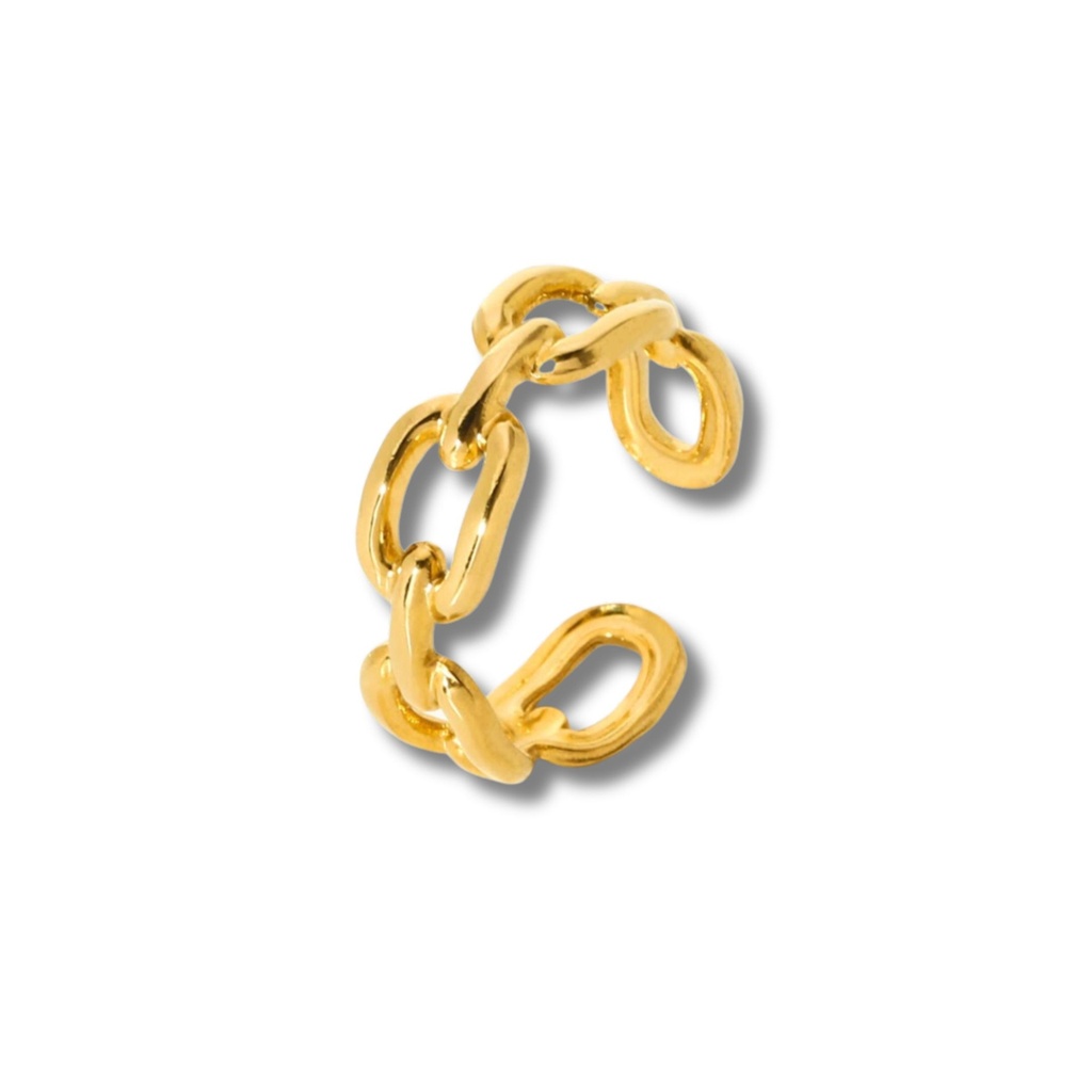 ANELLO PER SEMPRE ACCIAIO CATENA ORO O ARGENTO